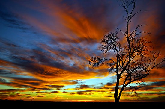 australian-sunrise